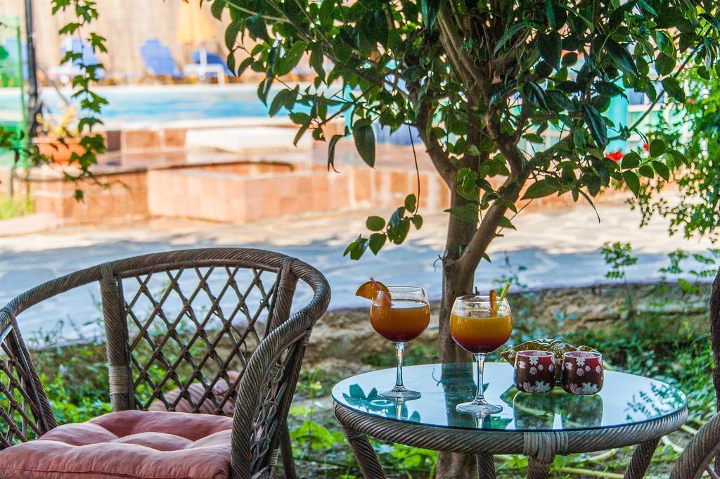 Zante Nest Studios & Apartments Аликанас Экстерьер фото