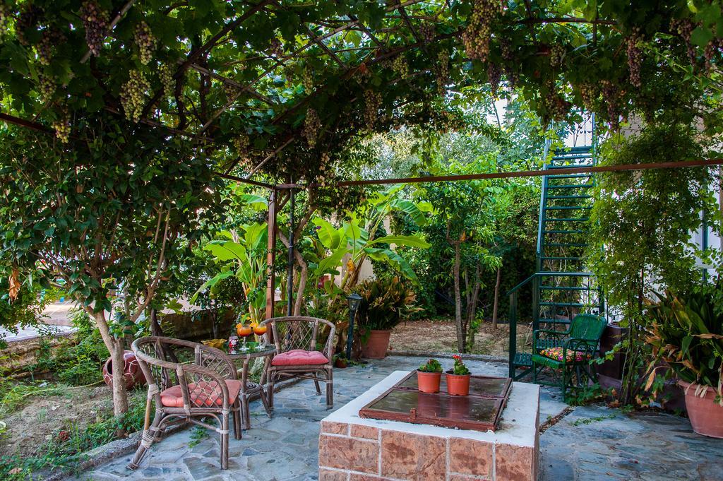 Zante Nest Studios & Apartments Аликанас Экстерьер фото